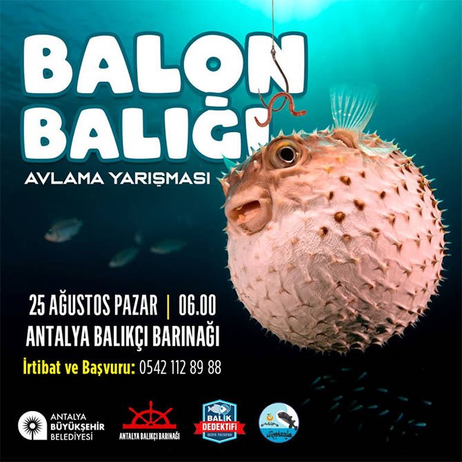 balon-baligi-.jpg