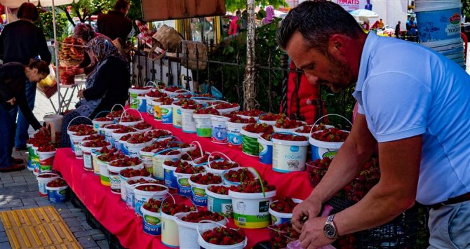 bartin-cilek-festivali.jpg