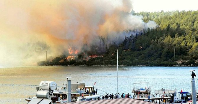 bodrum,-pina-yarimdasi.jpg