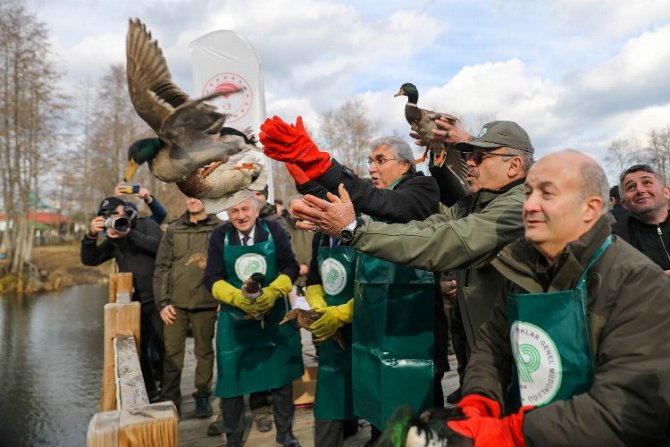 doga-koruma-ve-milli-parklar-mudurlugu’.jpg