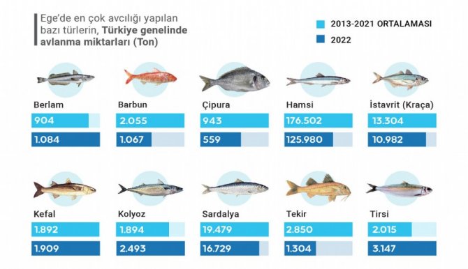 ege-denizi,-balik-turleri.jpg