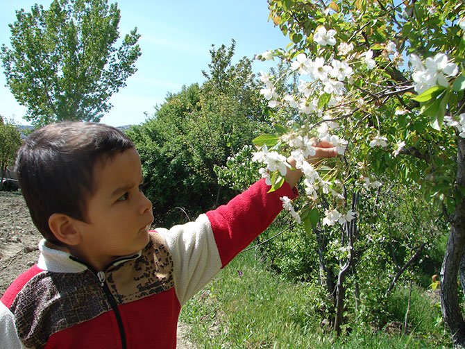 eko-turizm,-ari,-hasan-kocademir,-006.jpg