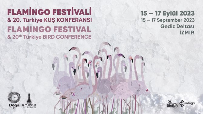 flamingo-festivali.jpg