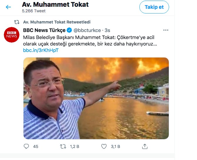 mehmet-tokat.png