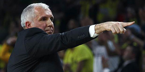 obradovic2.jpg