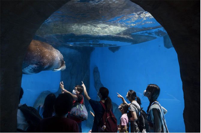 ocean-park,-hong-kong-.jpg