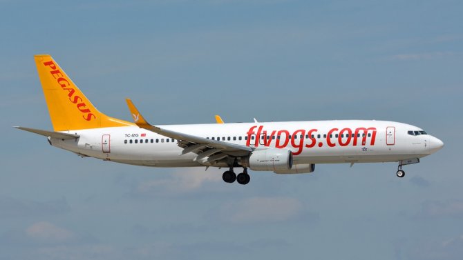 pegasus-boeing-737-800-.png