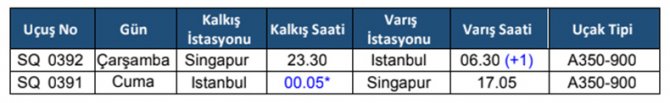 singapur-hava-yollari .jpg