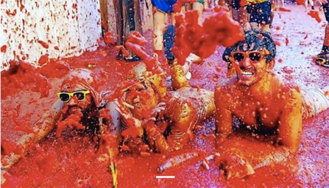 tomatina-festivali-001.jpg