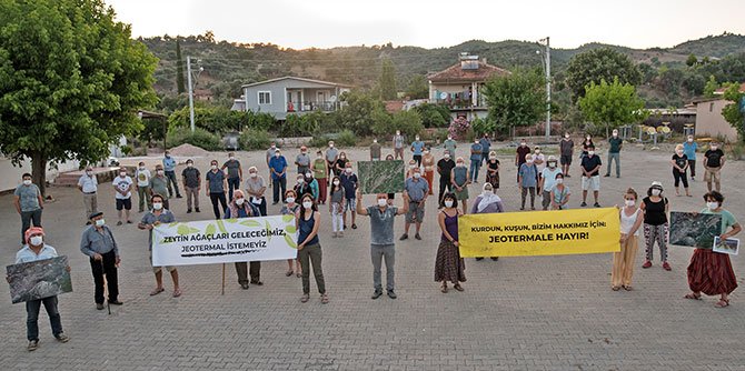 zeytin-agaclari.jpg