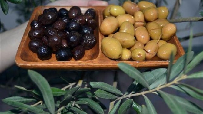 zeytin.jpg